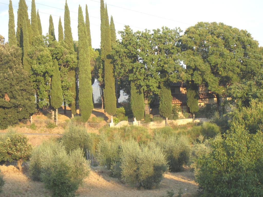 Casanova Di Ricavo Villa Gaiole in Chianti Bagian luar foto